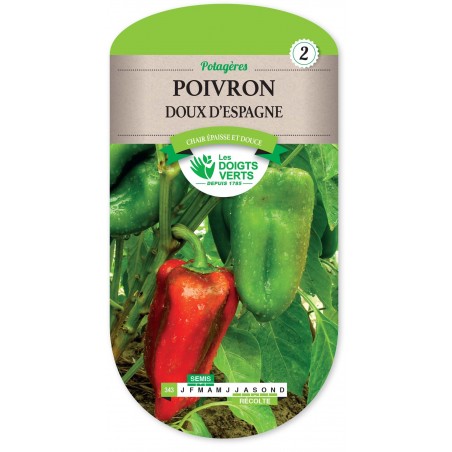 POIVRON DOUX D ESPAGNE cat2 POIVRON DOUX D ESPAGNE cat2