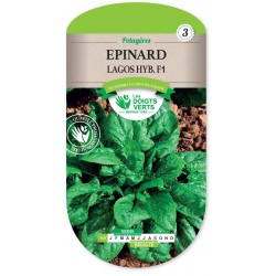 EPINARD LAGOS HYB.F1 CAT 3