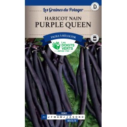 HARICOT NAIN PURPLE QUEEN 250G CATD