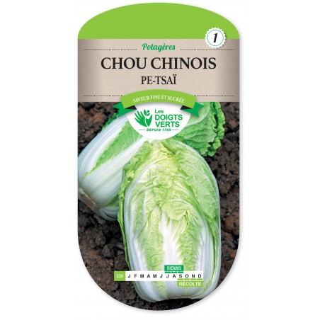 CHOU CHINOIS PE-TSAÏ cat1 CHOU CHINOIS PE-TSAÏ cat1