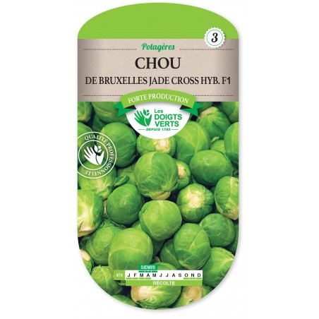 CHOU DE BRUXELLES JADE CROSS HYBRIDE F1 cat3 CHOU DE BRUXELLES JADE CROSS HYBRIDE F1 cat3