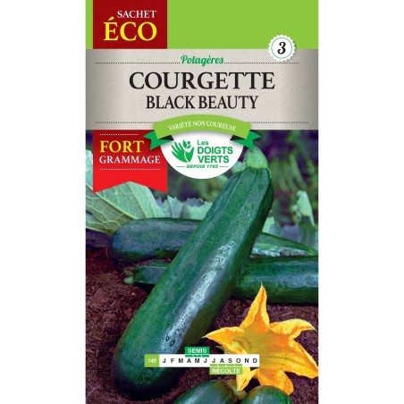 COURGETTE BLACK BEAUTY CAT3 COURGETTE BLACK BEAUTY CAT3