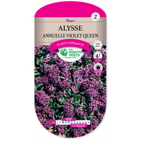 ALYSSE ANNUELLE VIOLET QUEEN cat2