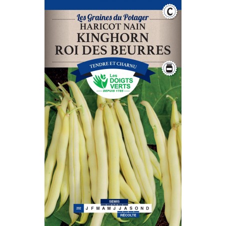 HARICOT NAIN KINGHORN ROI DES BEURRES cat3 HARICOT NAIN KINGHORN ROI DES BEURRES cat3