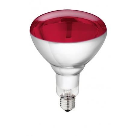 ?Lampe verre trempé Philips 