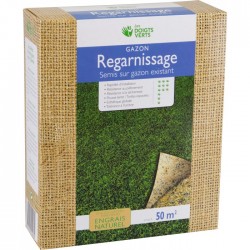 GAZON REGARNISSAGE - 1 KG -...
