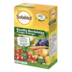 BOUILLIE BORDELAISE POTAGER...