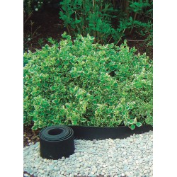 BORDURE GAZON CAOUTCHOUC...