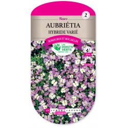 AUBRIETIA HYBRIDE VARIÉE -...