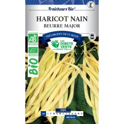 HARICOT NAIN BEURRE MAJOR...