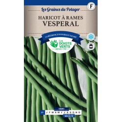 HARICOT RAMES VESPERAL -...
