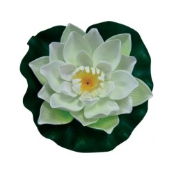 PONTEC PONDOLILY NÉNUPHARS...