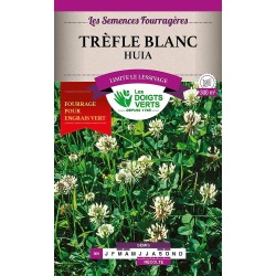 TREFLE BLANC 100G - LES...