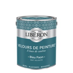 VELOURS DE PEINTURE BLEU...