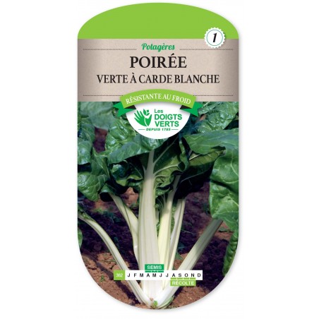 POIREE VERTE A CARDE BLANCHE 3 CAT1