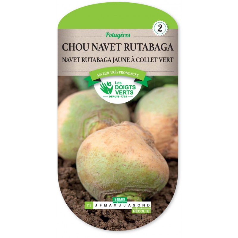 CHOU NAVET RUTABAGA A COLLET VERT cat2