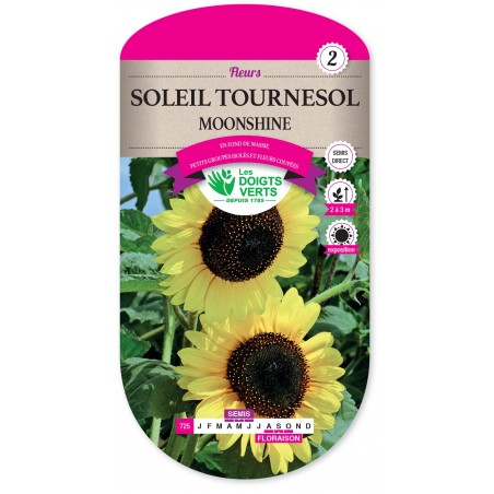 SOLEIL TOURNESOL MOONSHINE  CAT2