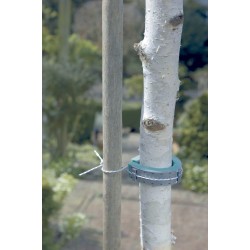 COLLIER MOUSSE - NORTENE