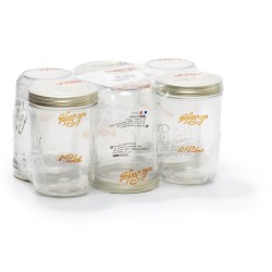 6 TERRINES FAMILIA WISS...