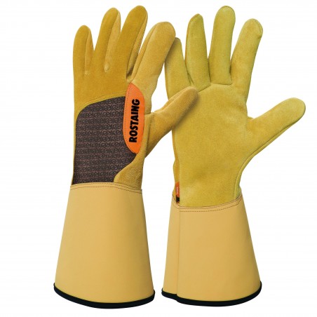 GANTS CUIR PRO SPECIAL EPINES ET RONCES