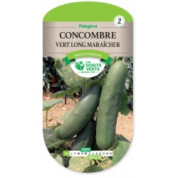 CONCOMBRE VERT LONG MARAÎCHER cat2