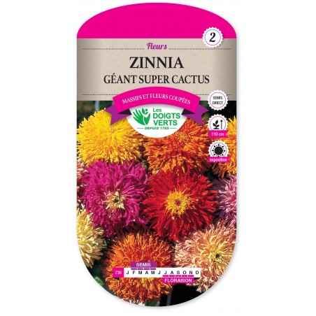 ZINNIA GEANT SUPER CACTUS CAT2