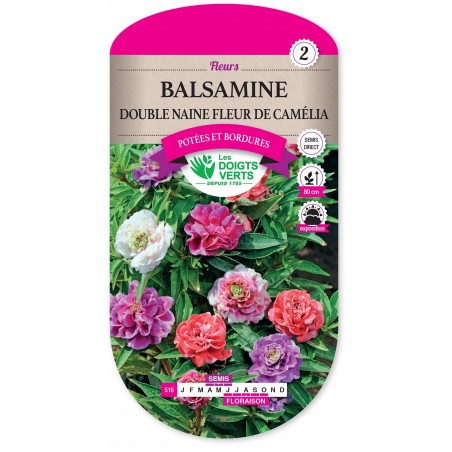 BALSAMINE DOUBLE NAINE FLEUR DE CAMELIA cat2