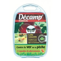 VER DE LA PÊCHE - DECAMP'