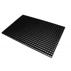 CAILLEBOTIS CAOUTCHOUC...