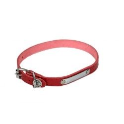 COLLIER RIVE 20/50 ROUGE CUIR