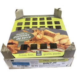 CLAYETTE POMME DE TERRE 60...