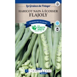 HARICOT NAIN FLAGEOLY  CATD...