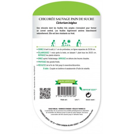 CHICOREE SAUVAGE PAIN DE SUCRE cat1 CHICOREE SAUVAGE PAIN DE SUCRE cat1