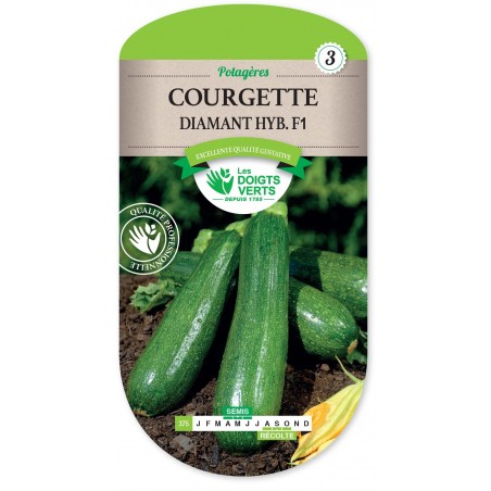 COURGETTE DIAMANT HYBRIDE F1 cat3 COURGETTE DIAMANT HYBRIDE F1 cat3