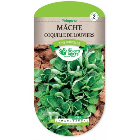 MACHE COQUILLE DE LOUVIERS cat2 MACHE COQUILLE DE LOUVIERS cat2