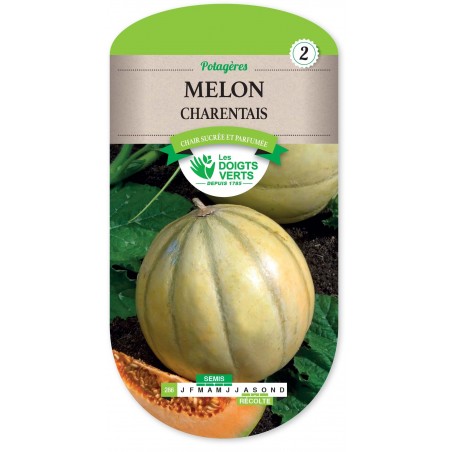 MELON CHARENTAIS cat2 MELON CHARENTAIS cat2