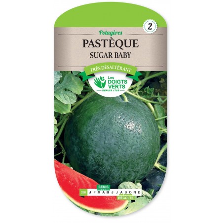 MELON PASTEQUE SUGAR BABY cat2 MELON PASTEQUE SUGAR BABY cat2