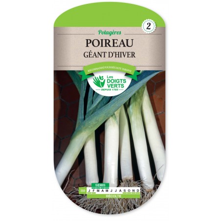 POIREAU GEANT D HIVER cat2 POIREAU GEANT D HIVER cat2