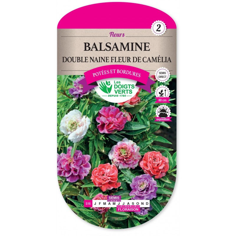 BALSAMINE DOUBLE NAINE FLEUR DE CAMELIA cat2