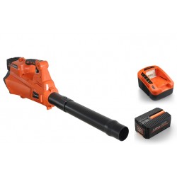 PACK SOUFFLEUR BATT. NEX...