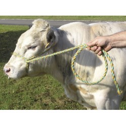 LONGE MIXTE SISAL PP 4M...