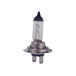 AMPOULE H7-HAL 12V 100W -...