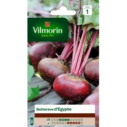 BETTERAVE D'ÉGYPTE - VILMORIN