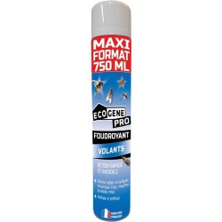 AEROSOL FOUDROYANT INSECTES...