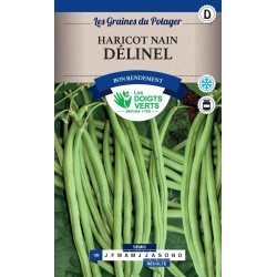 HARICOTS NAINS DELINEL 250G...