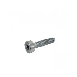 VIS CYLINDRIQUE IS D 5X24...