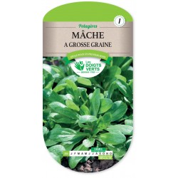 MACHE A GROSSE GRAINE cat1