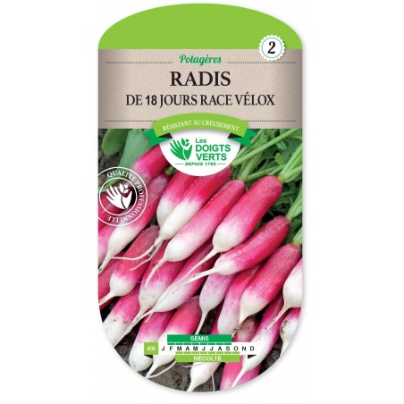 RADIS 18 JOURS VELOX cat2