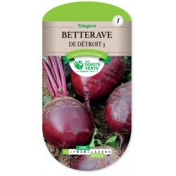 BETTERAVE DE DETROIT GLOBE cat1