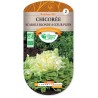 CHICOREE SCAROLE BLONDE A COEUR PLEIN cat2